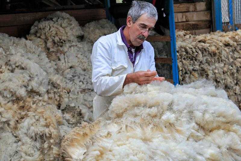 The Heritage of Pine Knoll Sheep & Wool