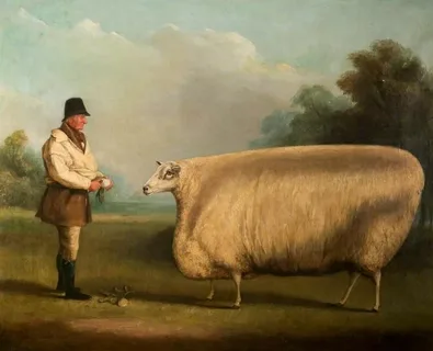 Why Did Pine Knoll Sheep Develop Some of the Finest Wool Products in the World?