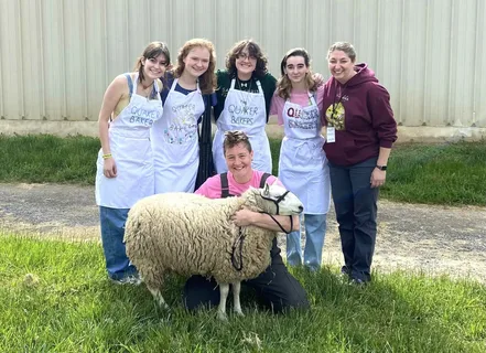 Why Do People Love Walking Around Pine Knoll Sheep & Wool Festival Found Every Year?